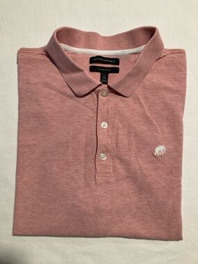 Banana Republic Men's Polo in Dusty Rose (146)